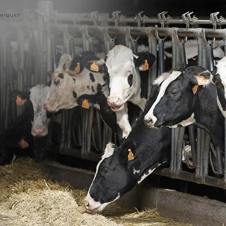Ferme Des Aujes Appartement